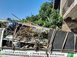 Best Moving and Downsizing Cleanouts  in Queen City, TX